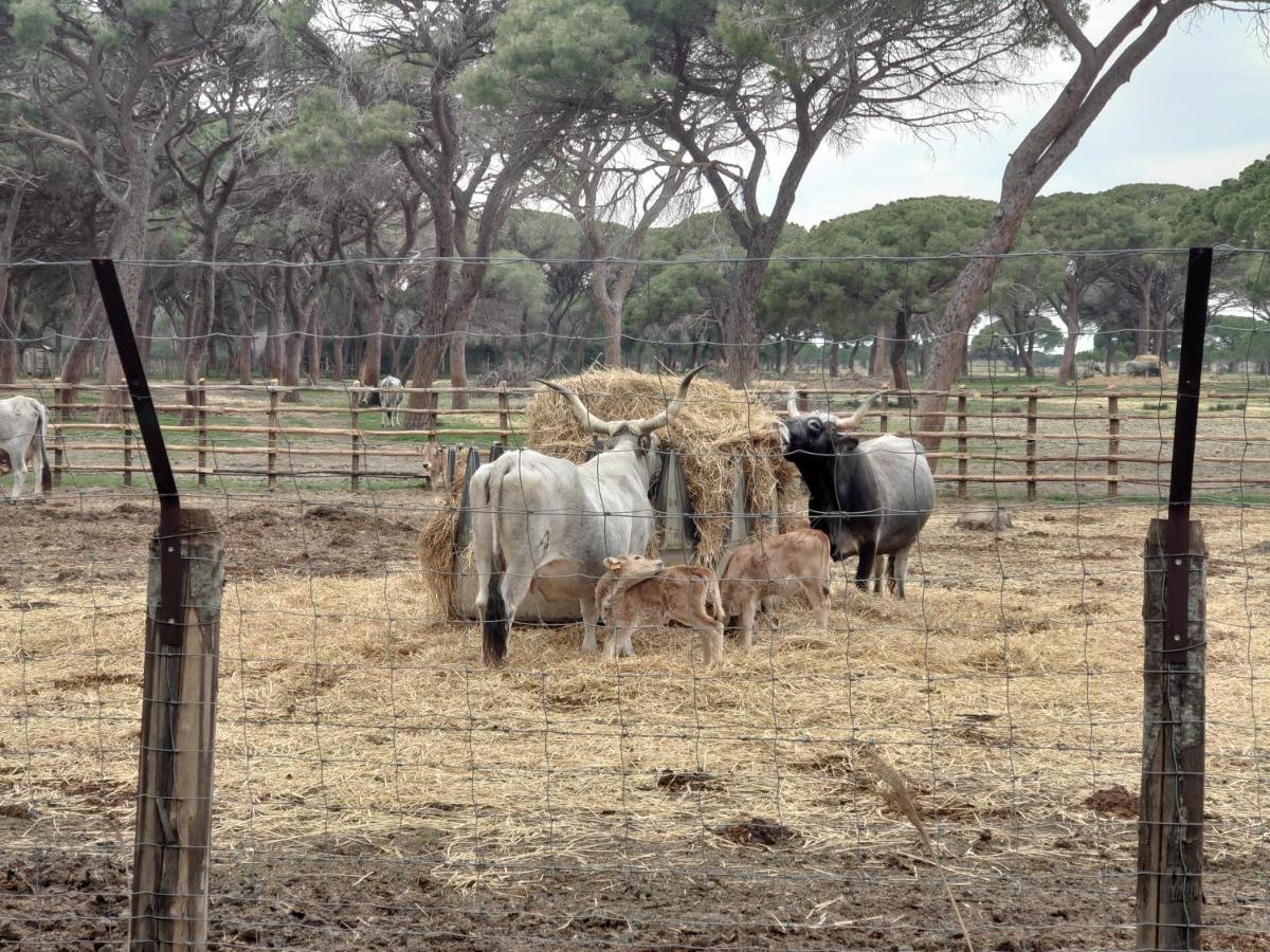 Agriturismo Poderedodici Orbetello Kültér fotó