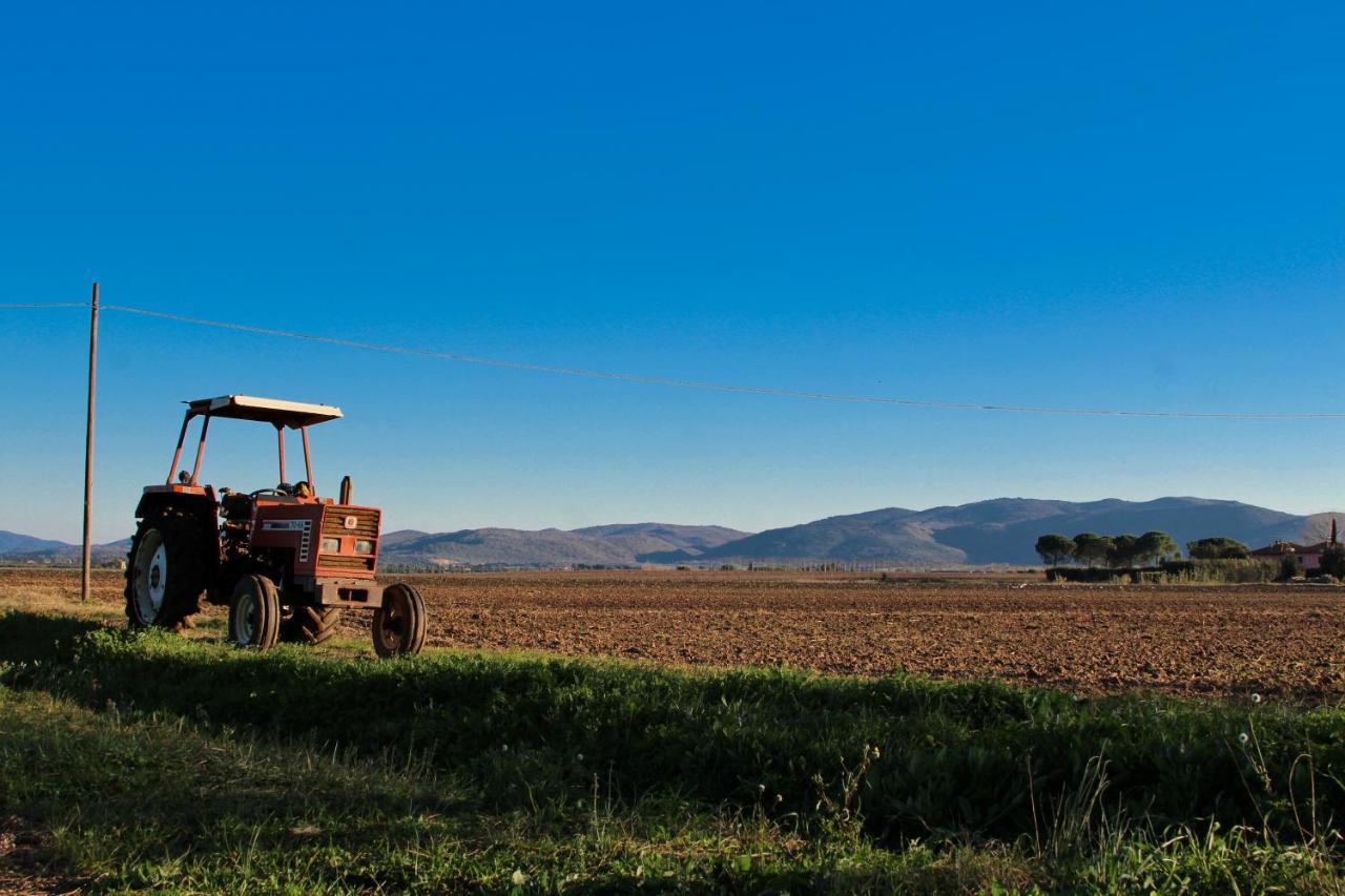 Agriturismo Poderedodici Orbetello Kültér fotó