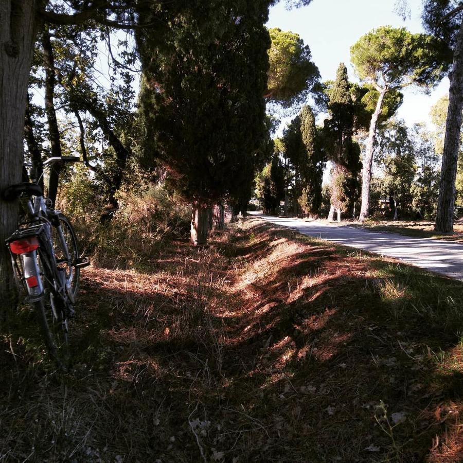 Agriturismo Poderedodici Orbetello Kültér fotó